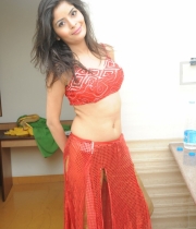 gehna-vashisht-hot-stills-at-fncc-new-year-celebrations-2014-99