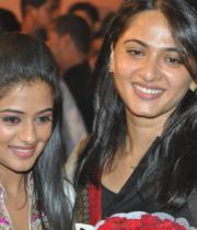 greeku-veerudu-audio-launch-stills-24