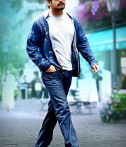 greeku-veerudu-movie-stills-25