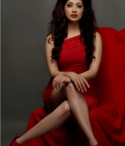 gurleen-chopra-new-photos-5