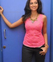 hamsa-nandini-new-stills-29