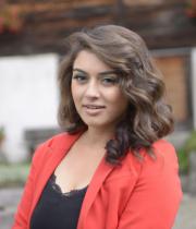 hansika-hot-stills-in-naughty-boys-movie-7