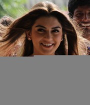 hansika_spicy_saree_photos16