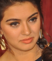 hansika-cute-stills-at-biryani-movie-audio-launch-62