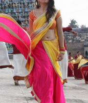 hansika-hot-saree-photos-01