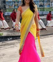 hansika-hot-saree-photos-02