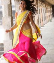 hansika-hot-saree-photos-18