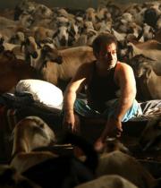 haridas-movie-stills-10