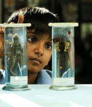 haridas-movie-stills-6