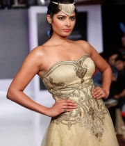 hyderabad-international-fashion-week-day-4-photos-17