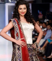 hyderabad-international-fashion-week-day-4-photos-6