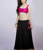 richa-panai-latest-hot-photoshoot-stills-05