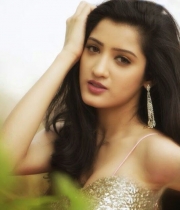richa-panai-latest-hot-photoshoot-stills-07