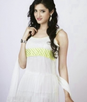 richa-panai-latest-hot-stills-6