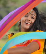 intinta-annamayya-movie-new-stills7