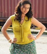 isha-chawla-cute-stills-02