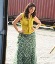 isha-chawla-cute-stills-11