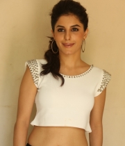 isha-talwar-at-maine-pyar-kiya-platinum-disc-function-5