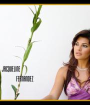 jacqueline-fernandez-hot-wallpapers-06
