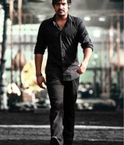 ntr-baadshah-stills-06