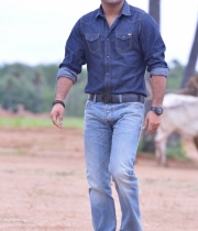ramayya-vasthavayya-stills-00004