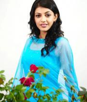 kajal-agarwal-latest-photos-6