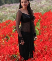 kajal-agarwal-latest-photos-3