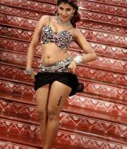 kausha-latest-hot-cleavage-show-photos-04