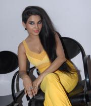 kavya-singh-hot-stills-10