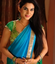 kavya-singh-latest-saree-photos-17