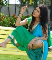 kavya-singh-latest-saree-photos-3