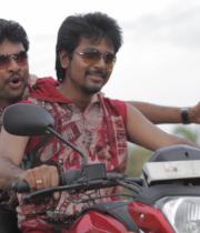 kedi-billa-killadi-ranga-movie-stills-8