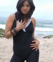 keerthi-chawla-hot-photos-in-bikini-_8_