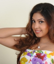 komal-jha-hot-photoshoot-stills-1