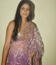 lavanya-tripathi-transparent-violet-saree-stills-3-679x1024