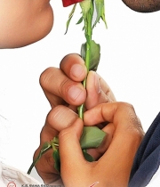 love-you-bangaram-wallpapers-1_0