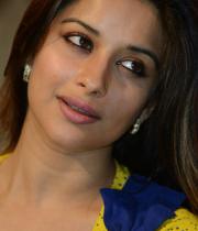 madhurima-stills-from-park-audio-14