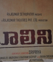 malini-22-movie-press-meet-photos-15