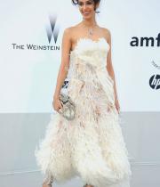 mallika-sherawat-hot-cleavage-at-cannes-2011-3