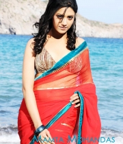 mallu-beauties-sizzling-in-tollywood-9
