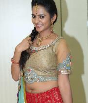 manasa-latest-hot-photo-shoot-photos-22