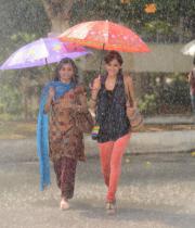 manasunu-mayaseyysaku-17