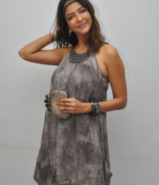 manchu-lakshmi-at-chandamama-kathalu-press-meet-12