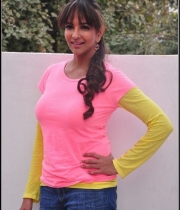 manchu-lakshmi-prasanna-hot-stills71386445565