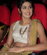 manisha-yadav-latest-hot-photos-13