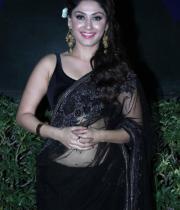 manjari-hot-stills-in-saree-5