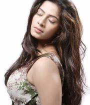 meenal-latest-hot-photoshoot-photos-07