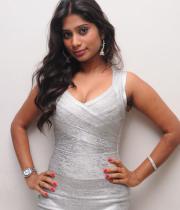 midhuna-hot-photos-16