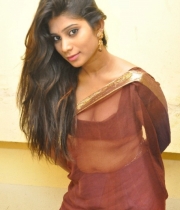 413_12_midhuna-waliya-hot-transparent-saree-photos-12