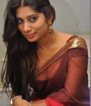 413_14_midhuna-waliya-hot-transparent-saree-photos-14